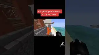 Minecraft Insult Match