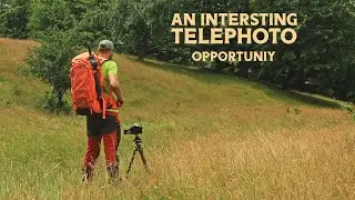 Forest Landscape Photography Adventure | This was an Interesting Situation