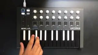 Minilab - 