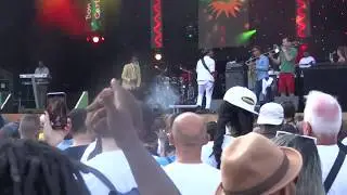 don carlos - favorite cup, live, reggae lake festival 2019, gaasperpark, amsterdam