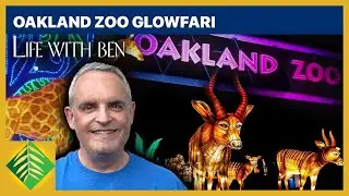 Oakland Zoo Glowfari | Life with Ben 125