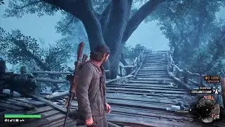 Days Gone Gameplay Part 75 - Full Walkthrough - PS4 (No Commentary)