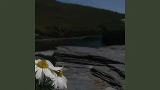 Utility mode