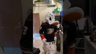 Wild Wing Prepares for the NHL Draft Lottery