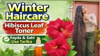 🌺 Hibiscus Toner Magic ✨ | 5 Feet Long Hair Routine | Grey Hair to Black Naturally #longhair #viral 