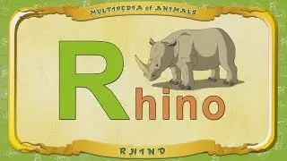 Multipedia of Animals. Letter R - Rhino