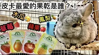 【皓奇寵物】龍貓皮卡最愛MOMI果乾裡的誰?! 不專業開箱+試吃