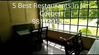 Best Places to Eat In Jim Corbett | Top 5 Restaurants in Corbett | Best Eating Places in Jim Corbett