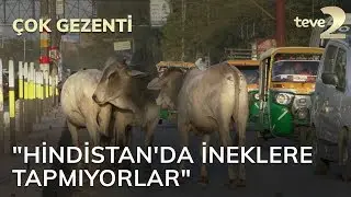 Çok Gezenti: 