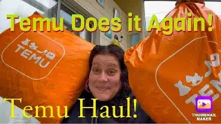 Temu Did it Again! 🧡 Temu Haul! (Part 1 of 2, series 6!)