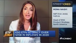 ESG assets keep climbing despite pushback. What's ahead for the industry, per one strategist
