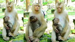 Cute Amanda very kind and happy to see Javor,  She is t,.ake care Javor warmly.