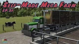 Building a feedlot | Self-made Mega Farm Ep51 | FS25