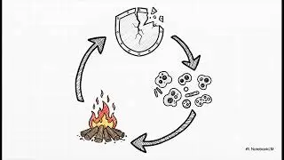 Targeting Immune Aging 2