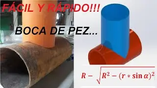 BOCA DE PESCADO CON FORMULA