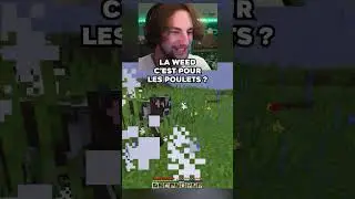 je sais pas jouer &agrave; Minecraft