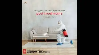 #pestcontrol #cockroachcontrolservice #termitecontrol #pestcontrolservices