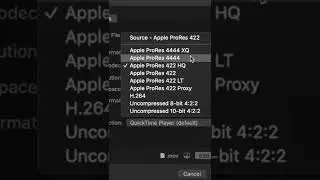 How to export a video without a background in Final Cut Pro #shorts