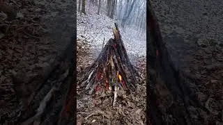 🔥A quiet fire in the heart of the forest December🔥 #shorts #asmr #freefire #viral