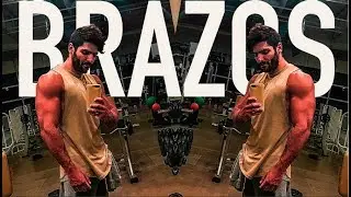 RUTINA PARA BRAZOS MUSCULOSOS!!!