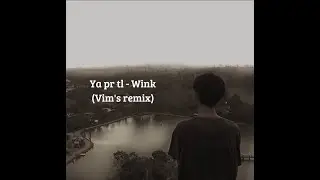 Ya pr tl - Wink (Vim's Remix)
