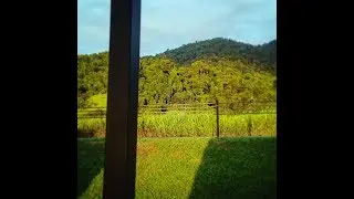 Traveling home to tropics(crebtrack)