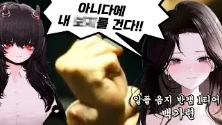 이게 바로 음지 스트리머들의 싸움이다!!