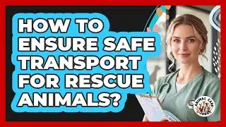 How To Ensure Safe Transport For Rescue Animals?