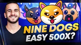 🔥 ЛУЧШЕ, ЧЕМ BONK, WIF И PEPE 🔥 NINE DOGS ($9DOGS) 🔥 Самый ожидаемый мемекоин!