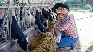 Spiking With Lactose?