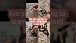 Want to Learn Realism? Realistic Tiger Portrait Colored Pencil Drawing #art #drawing #shorts #viral