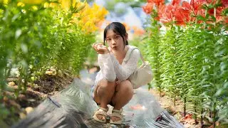 みらい　玉水ゆり・あじさい園　#ななサク撮影会