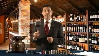 Video corso degustazione vini - Corsi Sommelier on line