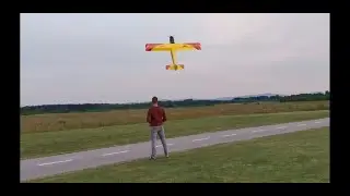 Timber 110