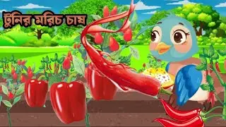 টুনির মরিচ চাষ #রুপকথার গল্পো#কাটুন ভিডিও 