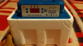 INCUBADORA DE HUEVO AUTOMÁTICA ¿ en realidad sirve ?