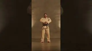 Centurion - Multi-Panel BJJ GI