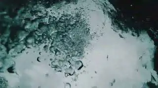 Carper - Tlen w płuca 