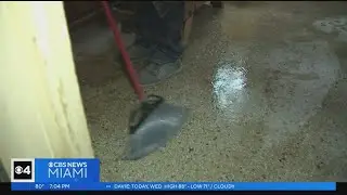 Fort Lauderdale residents deal with mold