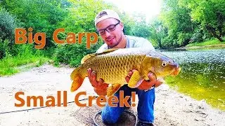 Small Creek Fishing for Big Carp!