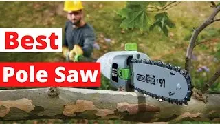 6 The Best Pole Saw for Every Yard, a Buyer's Guide