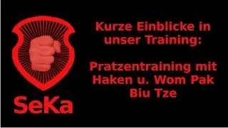 Pratzentraining mit Haken und  Wom-Pak-Biu-Tze (Trainingseinblick)