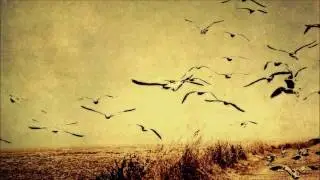 Daixie - ILTDB