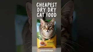What are the 3 cheapest dry cat food brands #cats #shorts #yellowmimish @cats