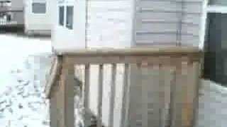 retardate (NO KIDDING.)