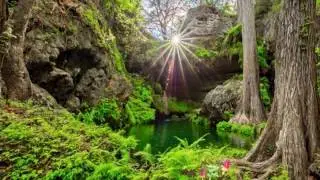Nature Sounds Relaxing Music Ambient Sleep Relaxing Instrumental Meditation Love Philosophy ▲ 4 Min