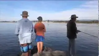Windang Blackfish