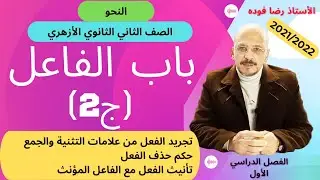 (2) الفاعل (ج2)