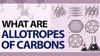 What are Allotropes of carbons | Allotropy | Types & Forms of Allotropes of Carbon | Hydrocarbons