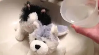 Pooflyn challenge